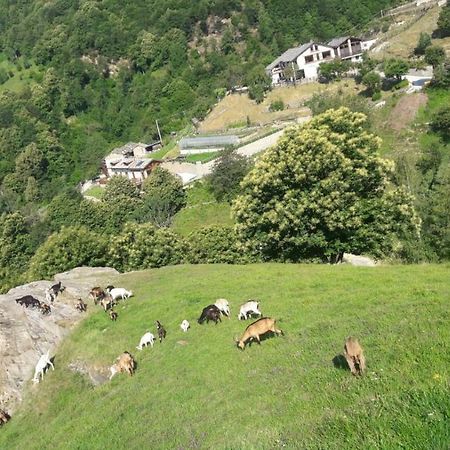 Agriturismo Fiorendo بينيرولو المظهر الخارجي الصورة