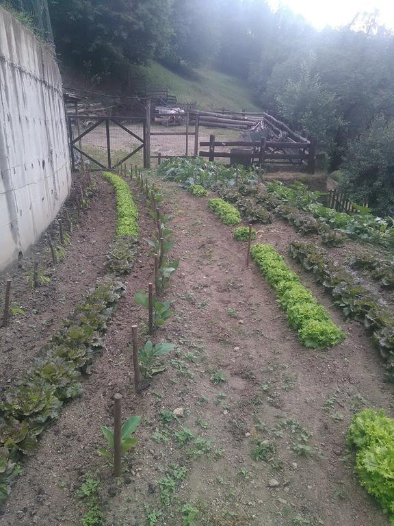 Agriturismo Fiorendo بينيرولو المظهر الخارجي الصورة